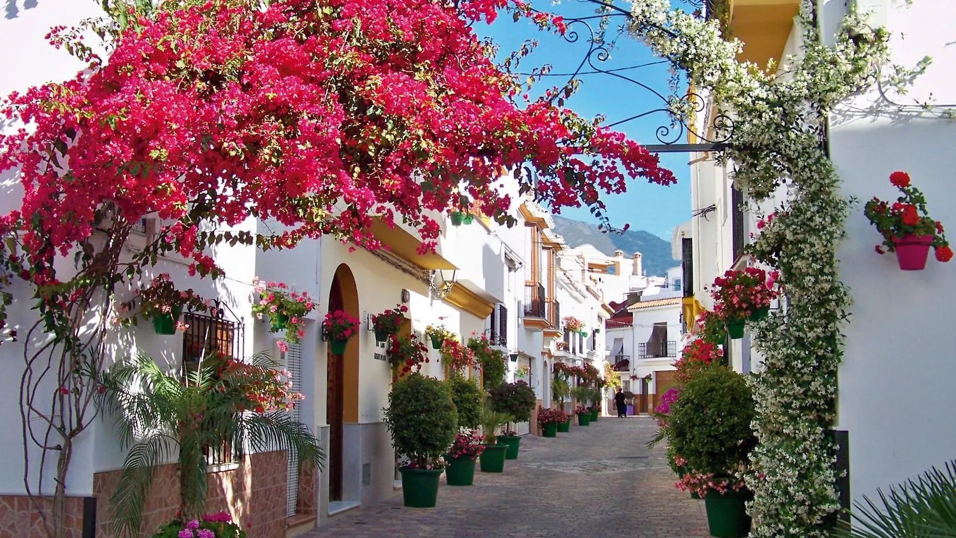 Apartment Exceptional Beachfront Complex With Pool In Costalita, Estepona